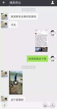 六哥爆料视频在线观看免费,免费在线观看精彩内容大盘点